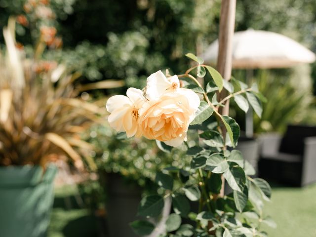 La Serre aux Fleurs  